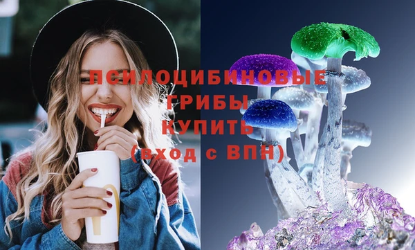 PSILOCYBIN Гусев