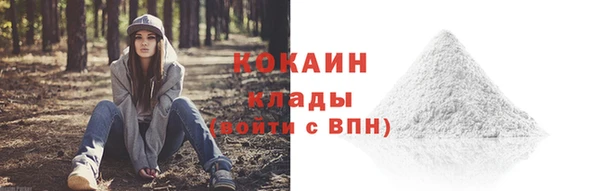 PSILOCYBIN Гусев
