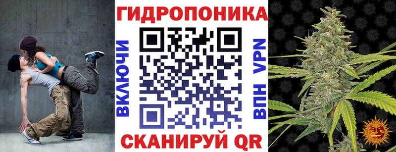 Бошки марихуана сатива  Купить где  Сольцы 